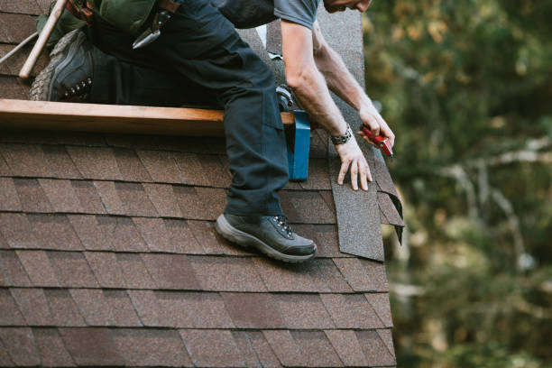 Quick and Trustworthy Emergency Roof Repair Services in Woodbury, MN
